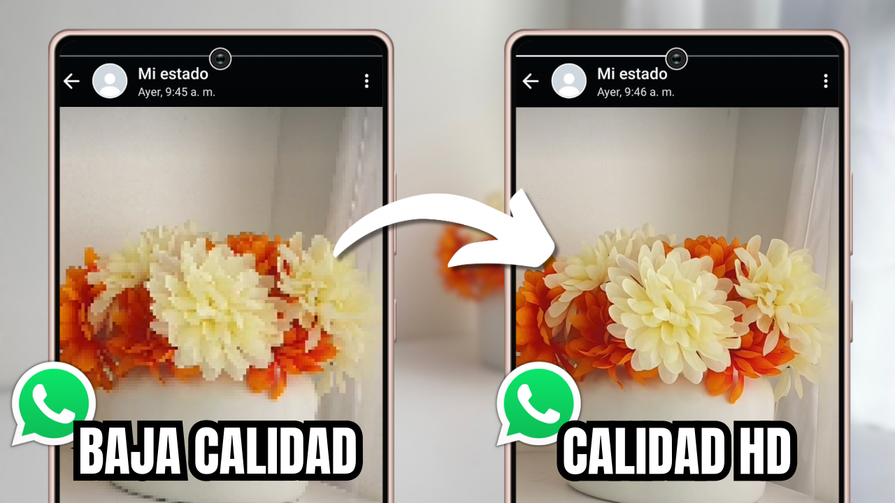 Subir estados a WhatsApp con la mejor calidad